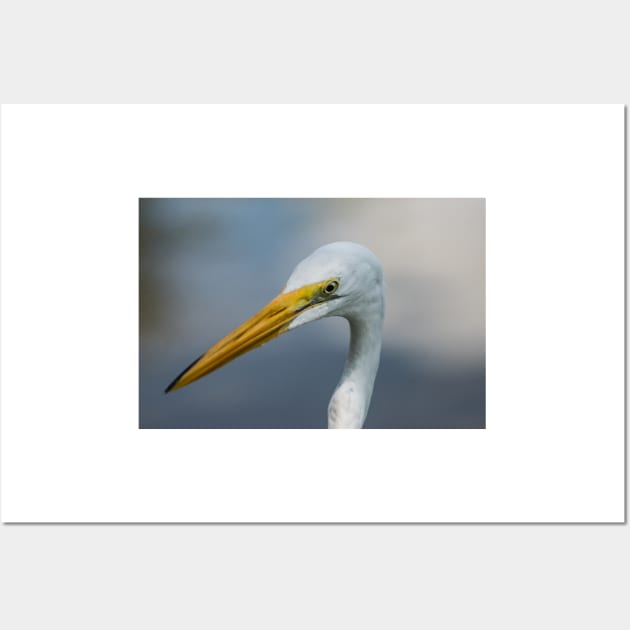 Large egret in wildlife preserve Wall Art by KensLensDesigns